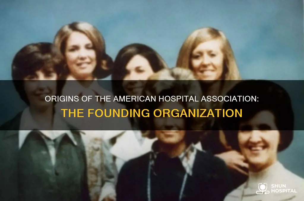 which organization initiated the american hospital association