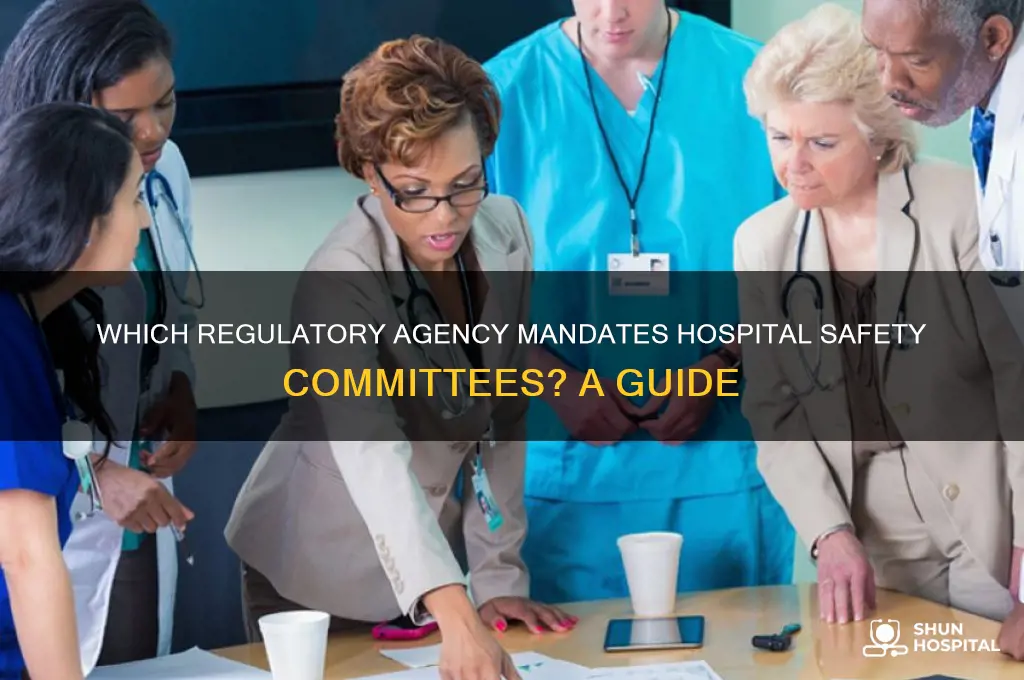 which outside agency requires hospitals have a safety committee
