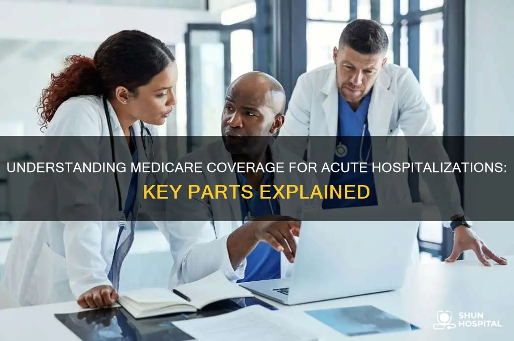which part of medicare for acute hospitalizations
