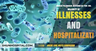 Leading Pathogen: Uncovering the Top Cause of Illnesses and Hospitalizations