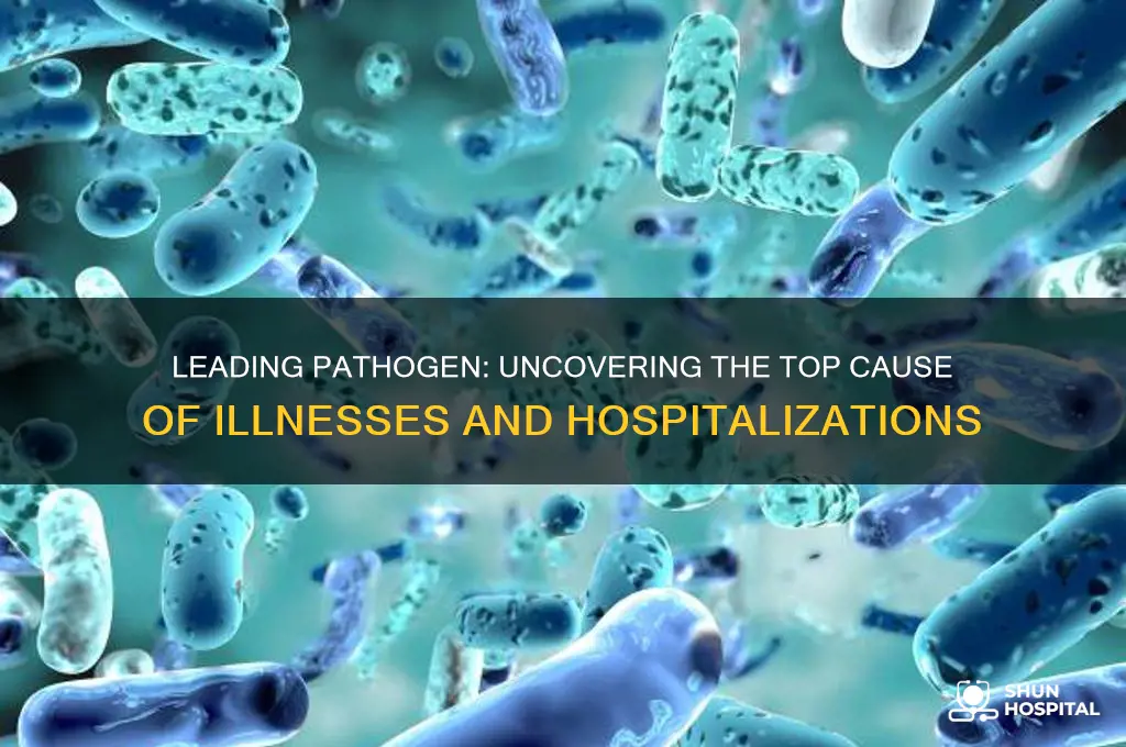which pathogen accounted for the majority of illnesses and hospitalizations