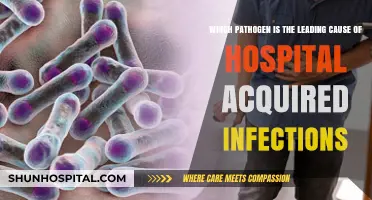 Clostridioides Difficile: The Leading Pathogen in Hospital-Acquired Infections