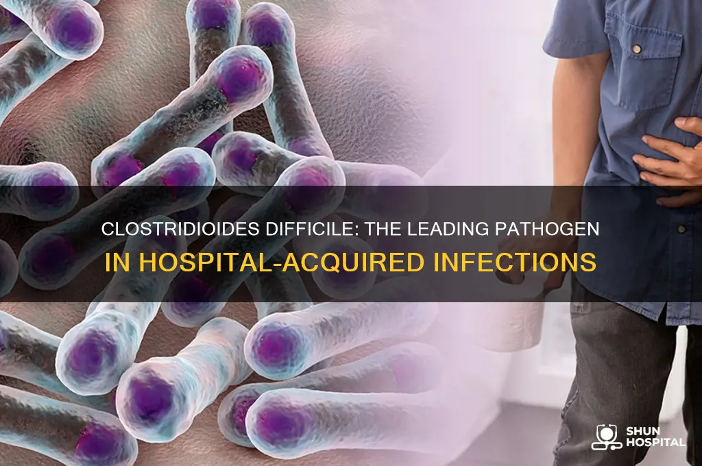 which pathogen is the leading cause of hospital acquired infections