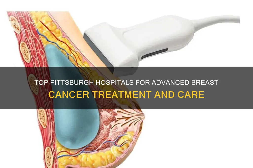 which pittsburgh hospital has the best breast cancer treatment