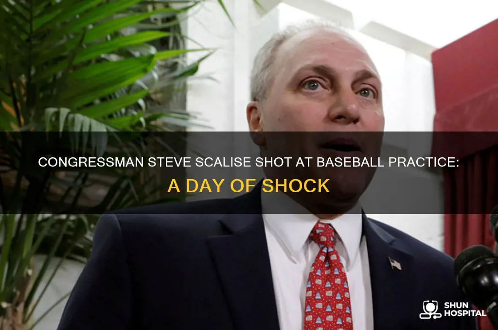 which politician was shot and hospitalized at the baseball game