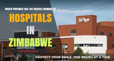 Zimbabwe's Healthcare Hub: Which Province Leads in Hospital Count?