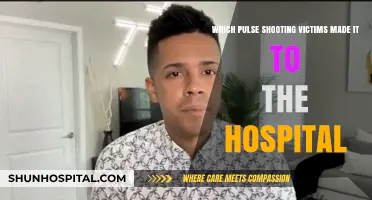 Pulse Shooting Survivors: Hospitalized Victims' Stories of Resilience and Recovery
