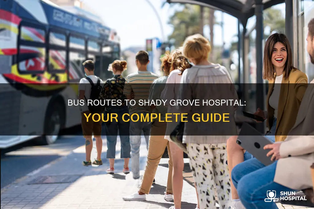 which ride on bus goes to shady grove hospital