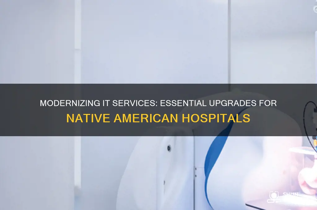 which should native american hospitals update their it services