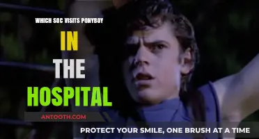 Who Visits Ponyboy in the Hospital? Unraveling the Soc Mystery