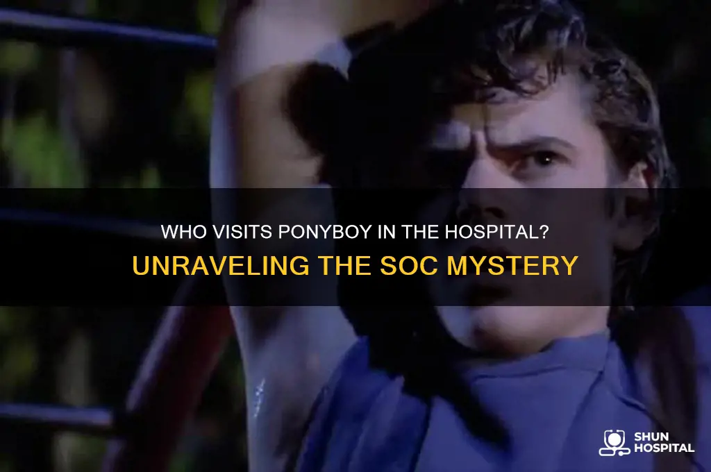 which soc visits ponyboy in the hospital