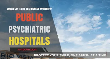 Public Psychiatric Hospitals: Which U.S. State Leads in Mental Health Care Facilities?