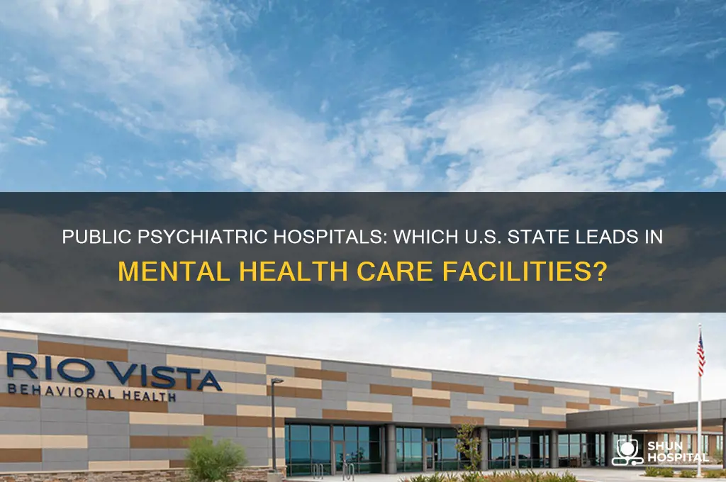 which state has the highest number of public psychiatric hospitals