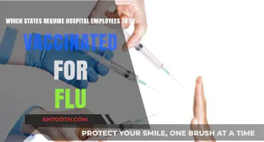 Flu Vaccine Mandates for Hospital Staff: Which States Require It?