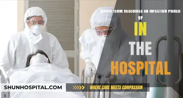 Hospital-Acquired Infections: Understanding the Risks and Prevention Strategies