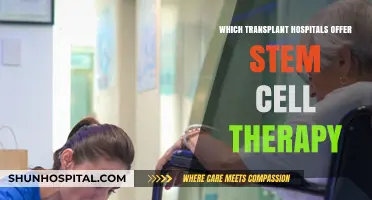 Top Stem Cell Therapy Transplant Hospitals: A Comprehensive Guide