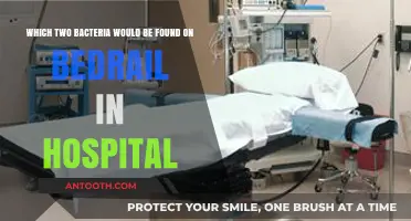Common Hospital Bedrail Bacteria: Staphylococcus and Enterococcus Explained