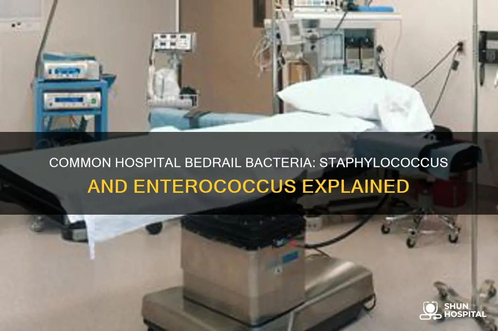 which two bacteria would be found on bedrail in hospital