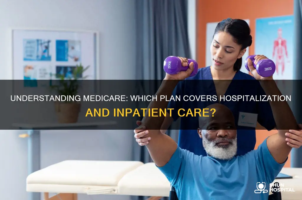 which type of medicare plan covers hospitalization