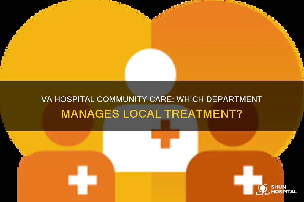 which va hospital dept handles community treatment