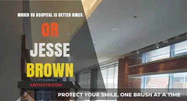 Hines vs. Jesse Brown VA Hospital: Comparing Care and Services