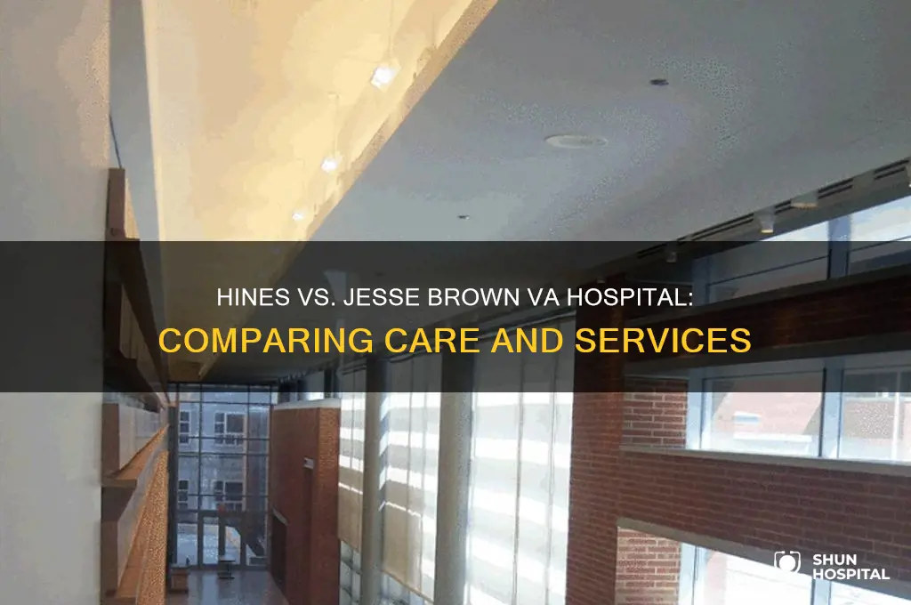 which va hospital is better hines or jesse brown