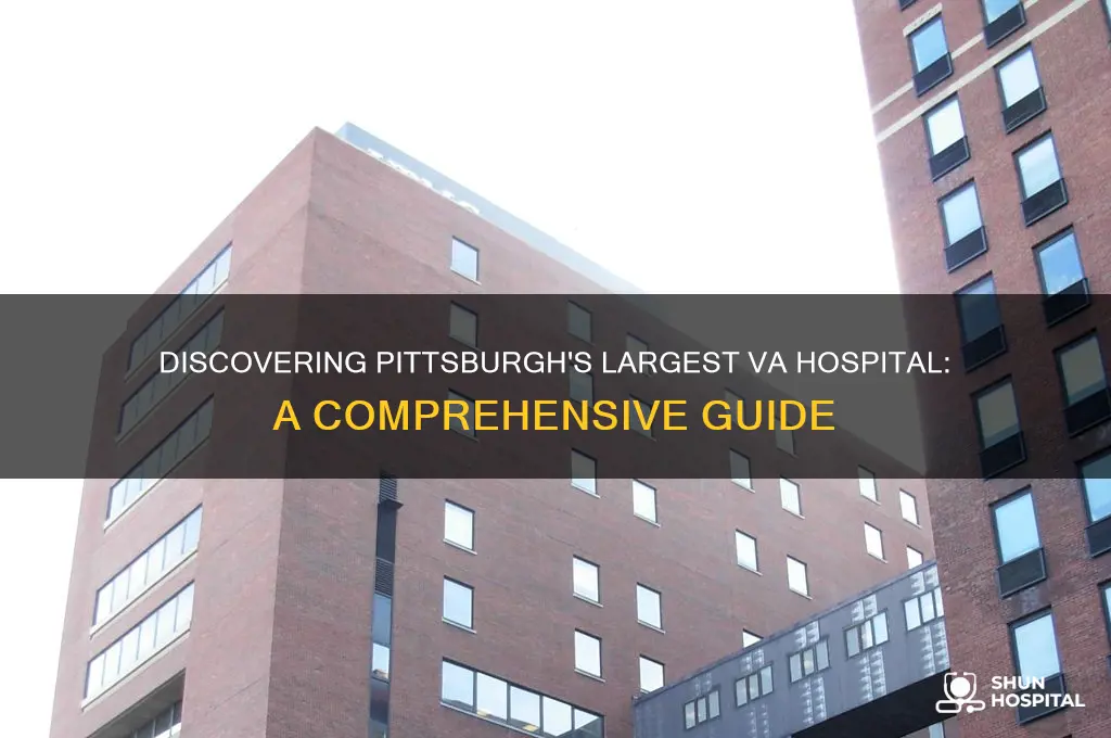 which va hospital is largest in pittsburgh