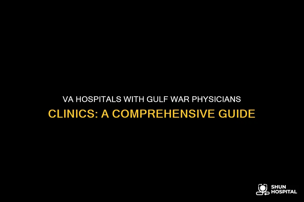 which va hospitals have a gulf war physicians clinic