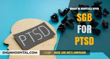 VA Hospitals Providing SGB Treatment for PTSD: Locations and Availability