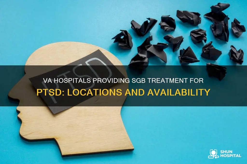 which va hospitals offer sgb for ptsd