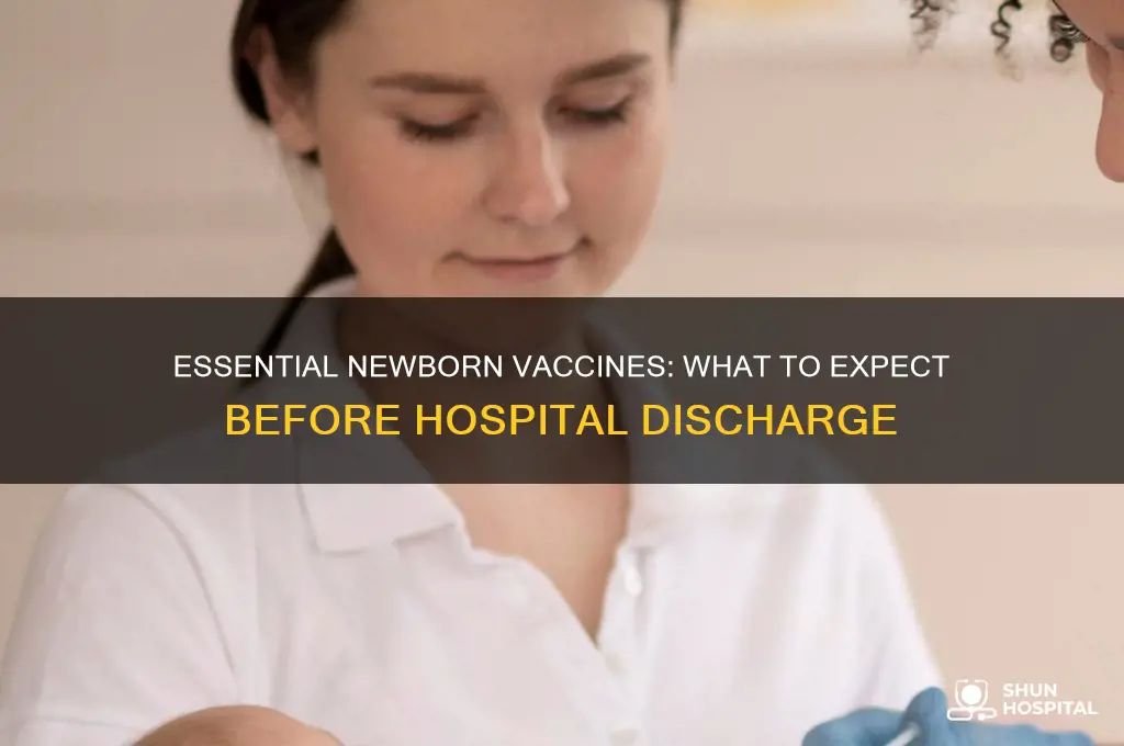 which vaccine is given before leaving hospital