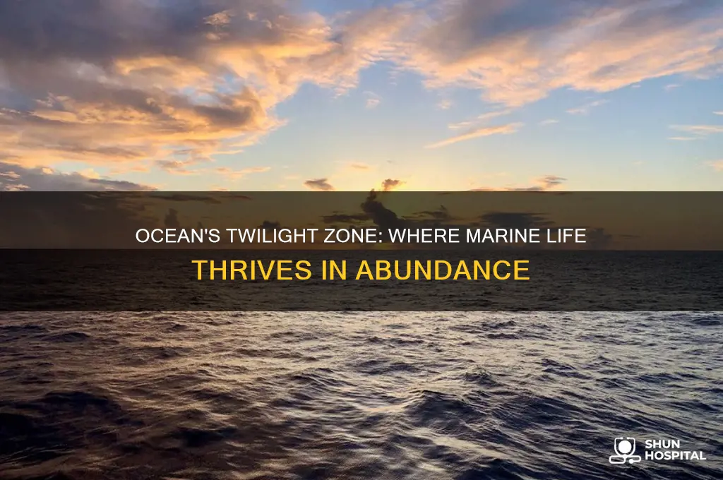 which zone of the ocean is most hospitable to life