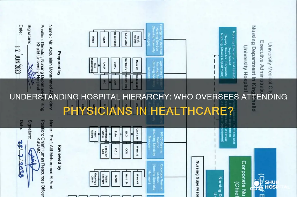 who above an attending in a hospital