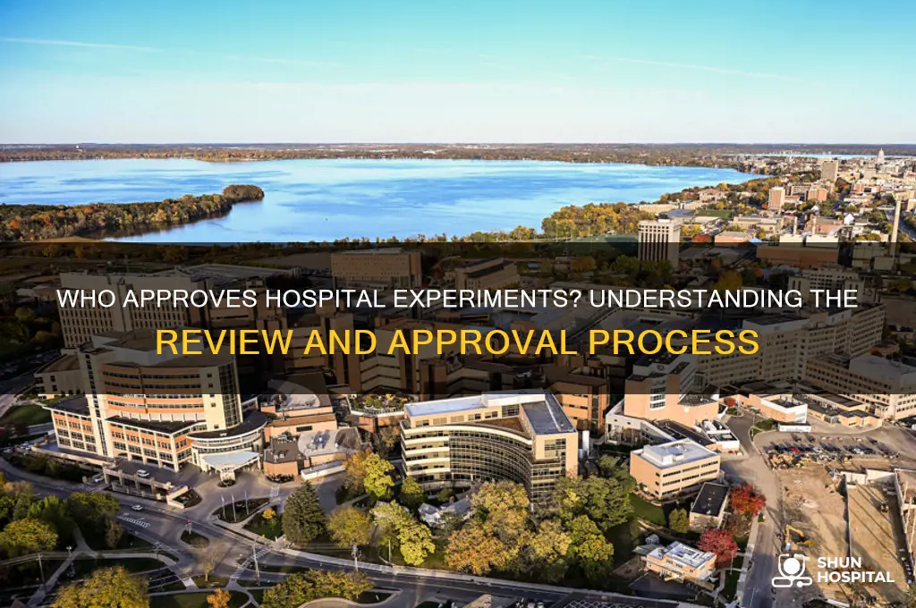 who approves an experiment in a hospital