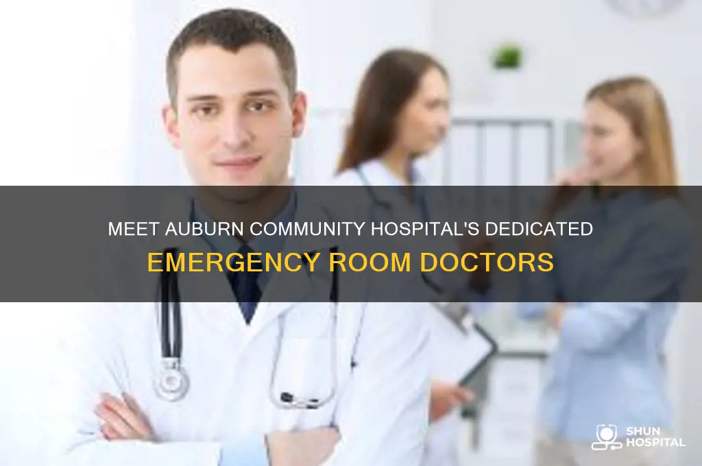 who are emergency room doctors in auburn community hospital