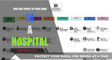 Understanding Hospital Hierarchy: Key High-Rank Officials and Their Roles