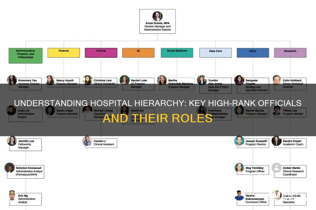 who are people of high rank in a hospital