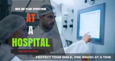 Understanding the Vital Role of Plant Operations in Hospital Functionality