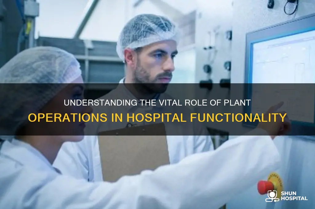 who are plant operations at a hospital