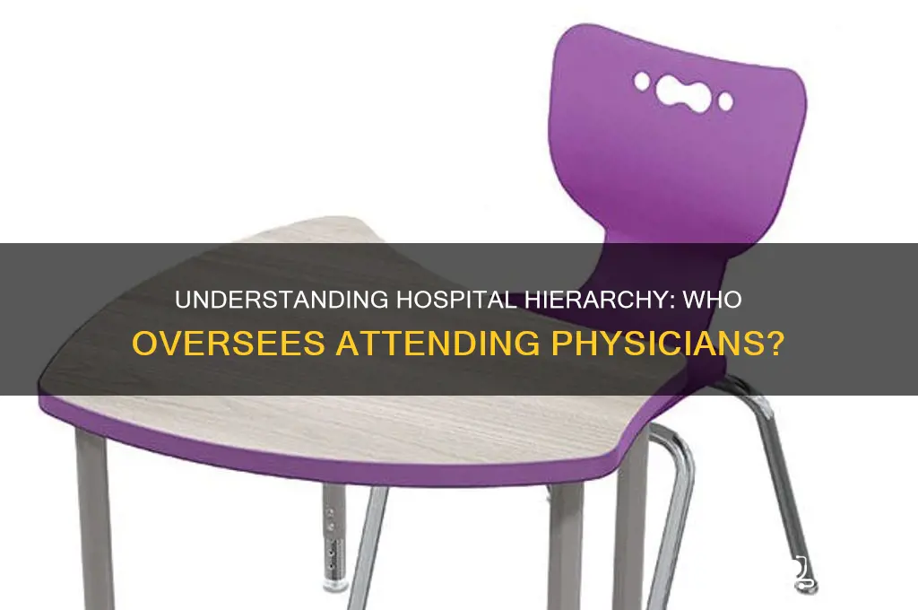 who are the chairs above the attending in the hospital
