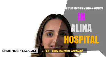Alina Hospital's Decision-Making Committee: Key Members and Roles