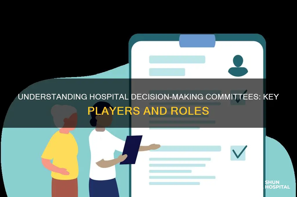 who are the decision making committee in the hospital