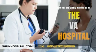 Diverse Care: Exploring Ethnic Minorities Served at VA Hospitals