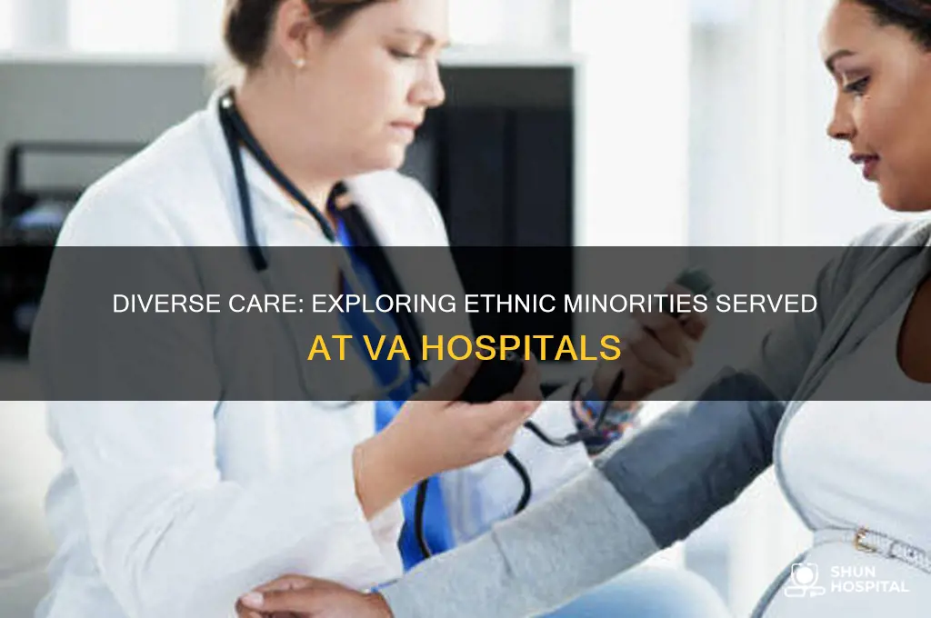 who are the ethnic minorities at the va hospital