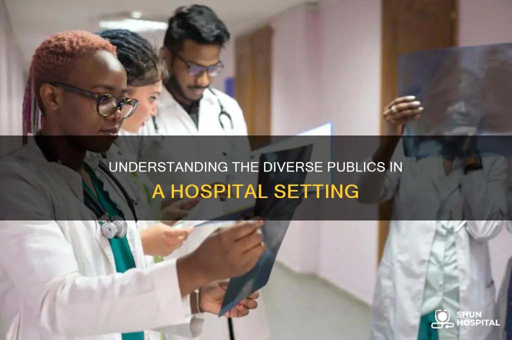 who are the publics in a hospital