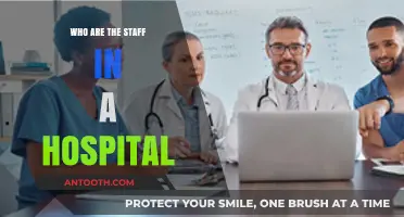 Understanding the Diverse Roles of Hospital Staff and Their Contributions
