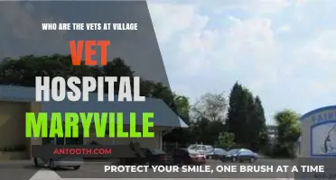 Meet the Dedicated Veterinary Team at Village Vet Hospital Maryville