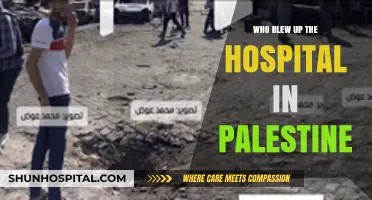 Unraveling the Truth: Who Blew Up the Palestine Hospital?