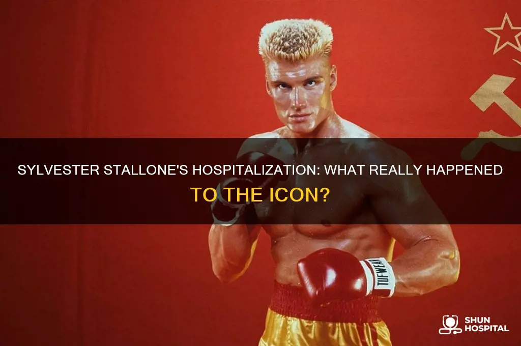 who but sylvester stallone in the hospital