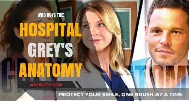 Who Purchased Grey Sloan Memorial Hospital in Grey's Anatomy?